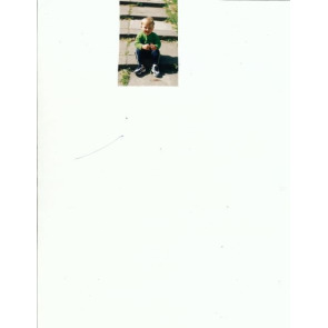 Notice Image