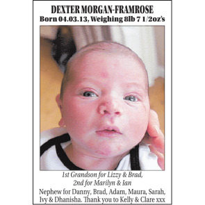Notice Image