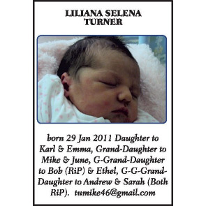 Notice Image