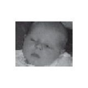 Notice Image