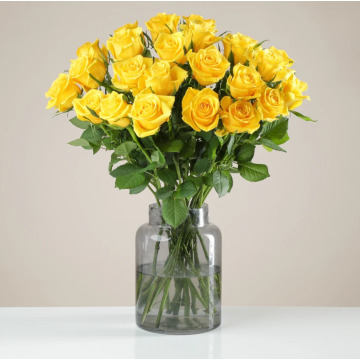Notice Image